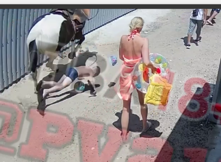 В Анапе ребенка сбила лошадь, у него серьезные травмы