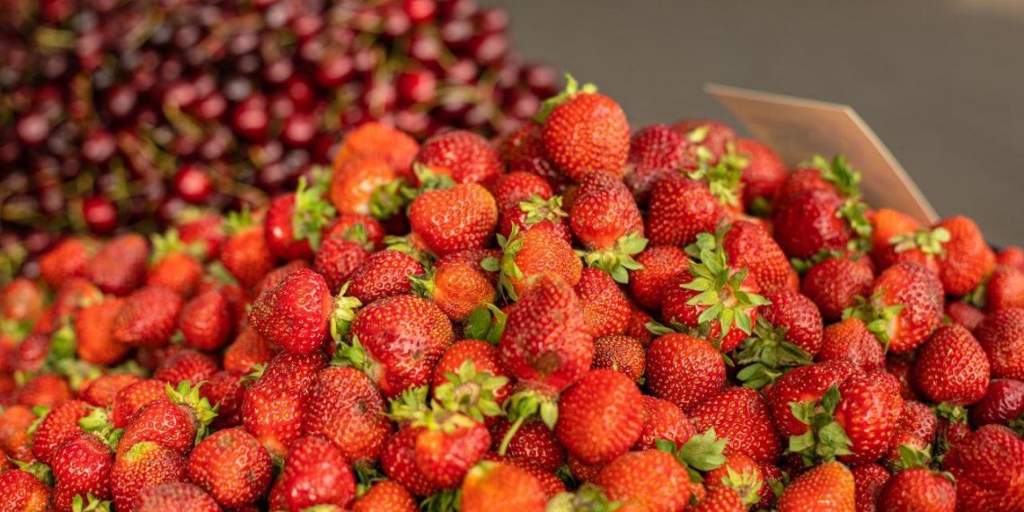 В Краснодаре открылись шесть ярмарок 17 июня