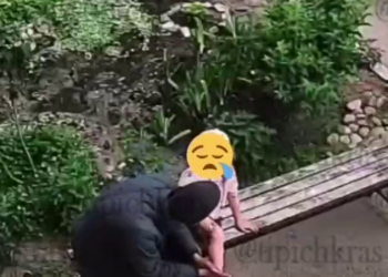 «Облапал конкретно»: в Краснодаре мужчина хотел похитить 4-летнюю девочку