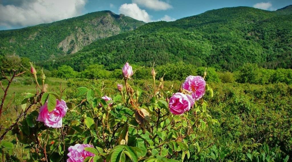 «Опасные явления будут»: Роман Вильфанд дал прогноз погоды на лето на юге России