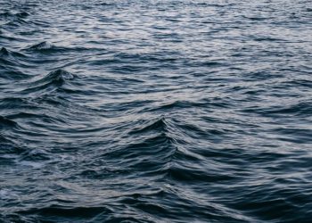 ТГ-канал: в Краснодаре утонул четырехлетний ребенок