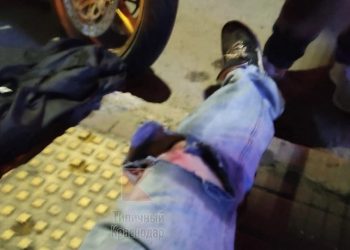 В Краснодаре шарманщик спас байкера, искусанного бешеной собакой