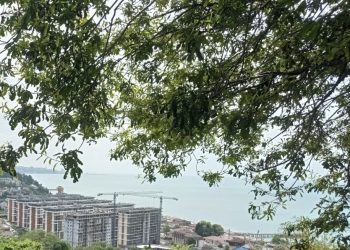 За пять месяцев в Сочи открылись 1400 малых и средних предприятий