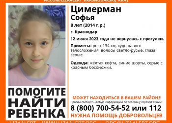 В Краснодаре пропала 8-летняя девочка, не вернувшаяся с прогулки
