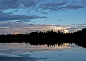 Появились подробности гибели четырехлетнего ребенка в Краснодаре