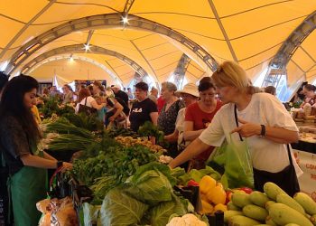 В Сочи усилили контроль за ценами на сезонные продукты