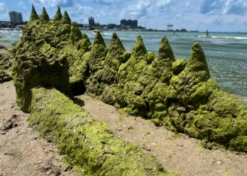 В Анапе отдыхающие из камки лепят огромных драконов и тиновиков