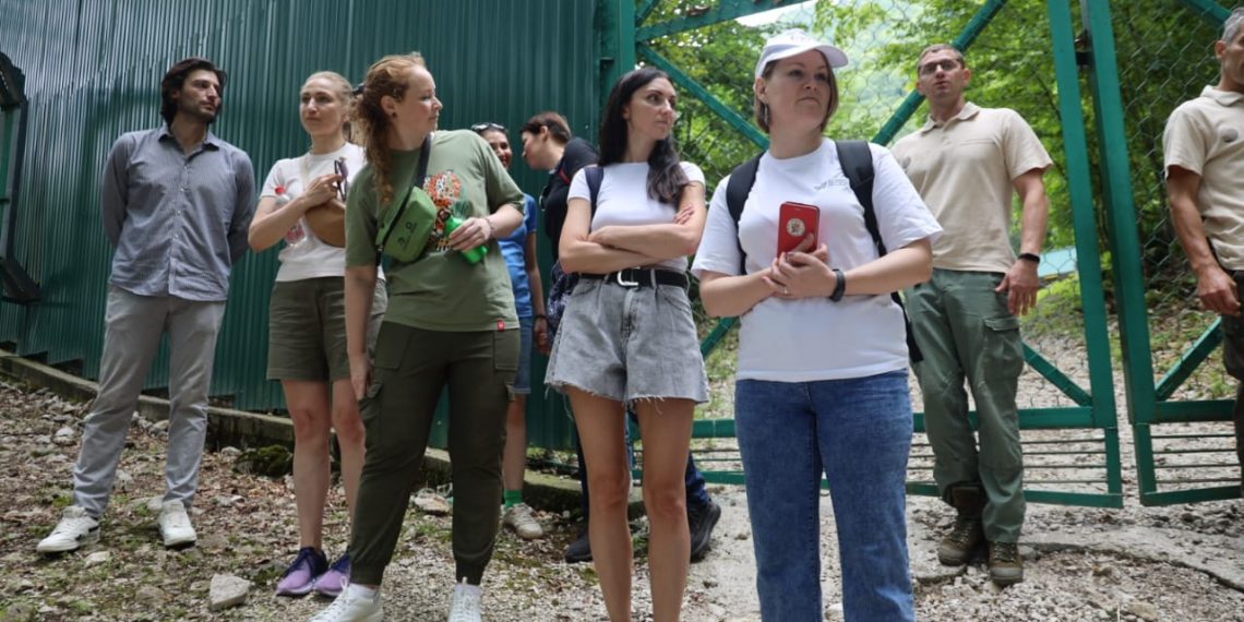 На Курорте Красная Поляна прошел заповедный диалог по сохранению краснокнижных диких кошек