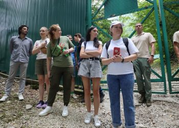 На Курорте Красная Поляна прошел заповедный диалог по сохранению краснокнижных диких кошек