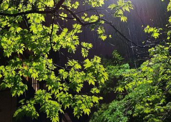 В Сочи ожидаются дожди, грозы и сильный ветер 28 июля