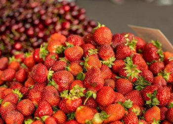 В Краснодаре открылись шесть ярмарок 1 июля