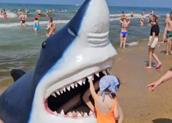 На побережье Анапы акула “растерзала” несколько человек