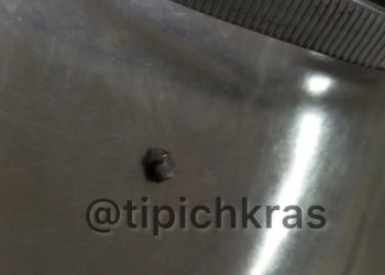 В краснодарском поселке Российском мужчина подстрелил домашнюю собаку