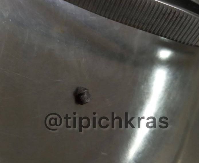 В краснодарском поселке Российском мужчина подстрелил домашнюю собаку