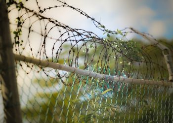 Житель Кубани задушил мачеху, сжег дом и получил 9 лет колонии