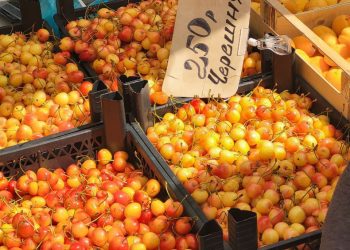 «Одни перекупы, антисанитария, вонь»: обзор продукции на ярмарках Краснодара