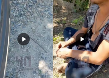 “Придавил и закрыл рот рукой”: в Темрюке задержали мужчину, напавшего на маленькую девочку