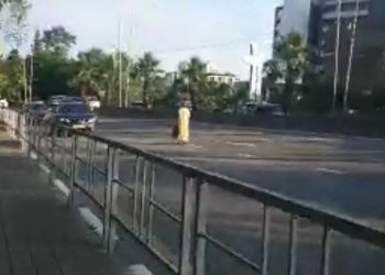 В Сочи женщина разгуливала прямо по дороге