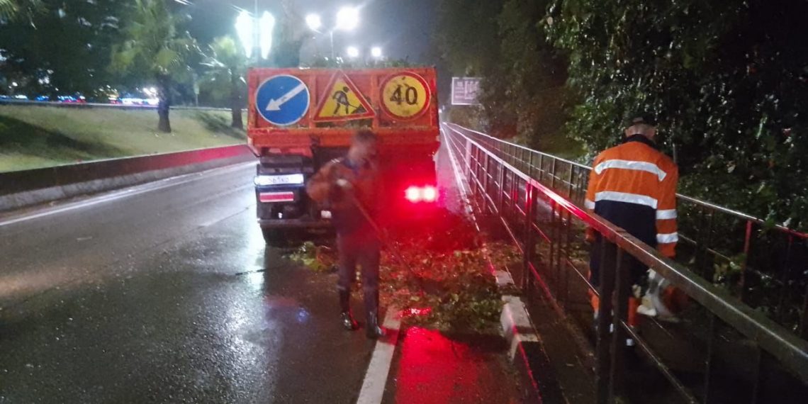В Адлере на участке федеральной трассы убрали упавшее дерево, движение осуществляется в штатном режиме