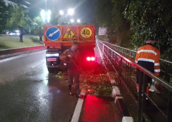 В Адлере на участке федеральной трассы убрали упавшее дерево, движение осуществляется в штатном режиме