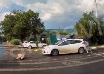 На Кубани завели дело на водителя, сбившего женщину