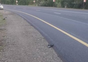 На Кубани водитель сбил человека и скрылся