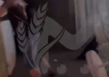 Бойню между дверью туалета и нетерпеливым мужчиной сняли на видео на пляже в Сочи