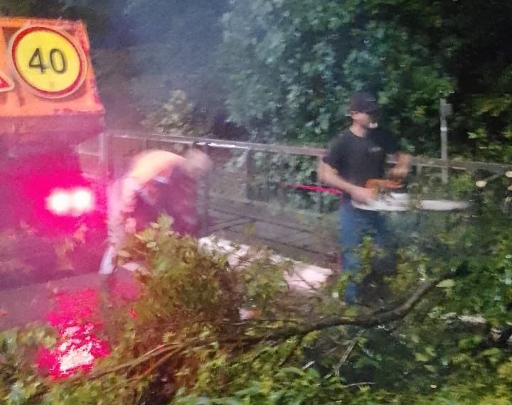 В Адлере на федеральной трассе из-за упавшего дерева движение осуществляется по одной полосе