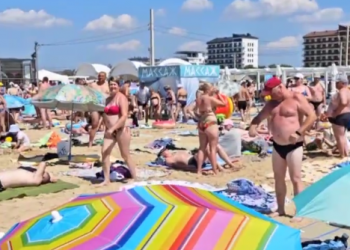 «Место осталось только в море»: с пляжей Анапы пропала камка