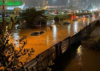 Дмитрий Зенцов: «Вода в Сириусе зашла в домовые территории»