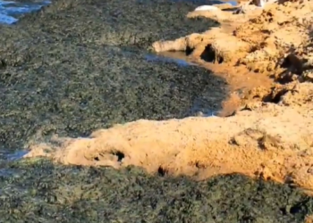 Отдыхающие рассказали, на каких российских курортах нет говна в море