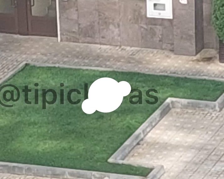 В Краснодаре по факту гибели мужчины, выпавшего из окна, СК организовал доследственную проверку