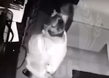 «Грааль не обнаружили»: В сочинском поселке Дагомыс отец с детьми обокрал церковь