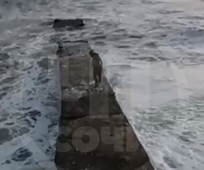 В Сочи блогер снял смерть друга в прямом эфире