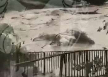 В Туапсинском районе Кубани потоки воды на глазах у жителя смыли мост