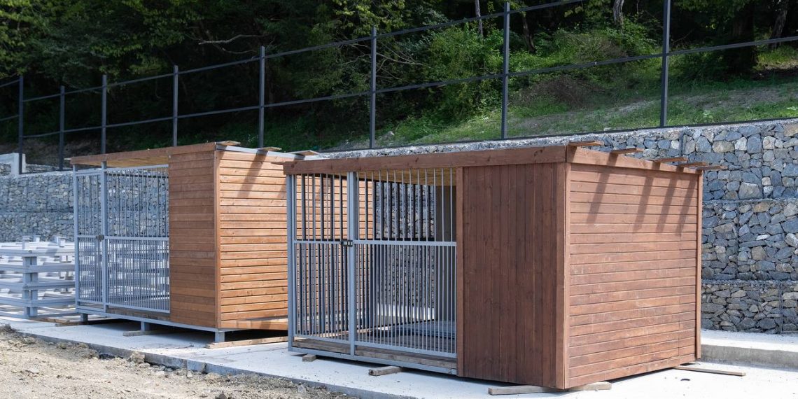 В Сочи строят муниципальный приют для 500 собак