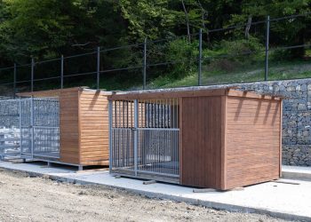 В Сочи строят муниципальный приют для 500 собак