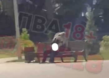 В Анапе сняли на видео влюбленную парочку, занимавшуюся сексом на лавочке