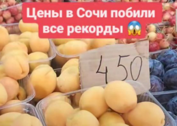 Цены на фрукты в сочинской Красной Поляне удивили россиян