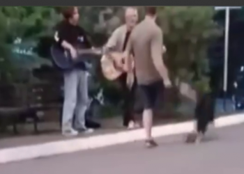 На Кубани уличный музыкант в Горячем ключе откусил ухо пристававшему мужчине