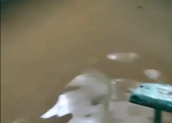 В мэрии Сочи рассказали, когда начнут определять объем ущерба из-за ливней