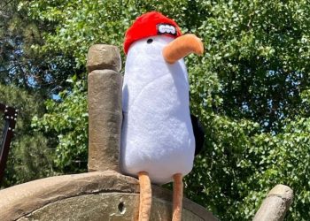 В Анапе плюшевая чайка Кусто наслаждалась отдыхом вдали от хозяев