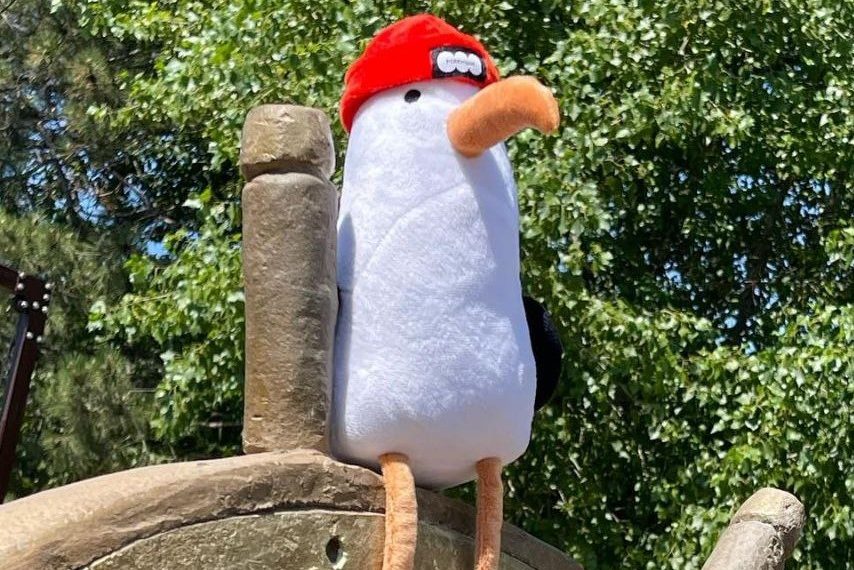 В Анапе плюшевая чайка Кусто наслаждалась отдыхом вдали от хозяев