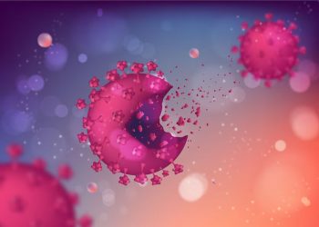 Отдыхающих на морских курортах предупредили о болезни с летальным исходом