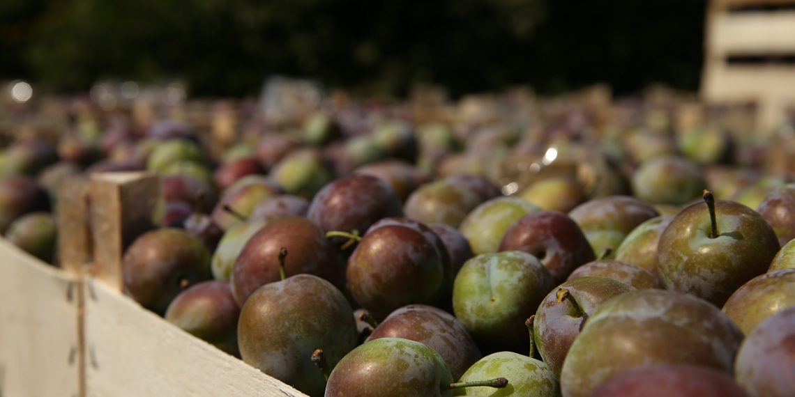 В Краснодаре открылись шесть ярмарок 12 августа