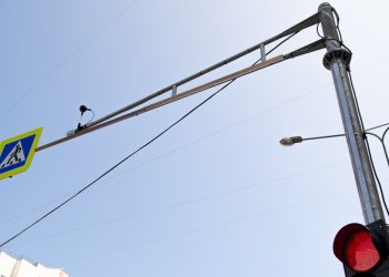 В Краснодаре установят шесть «умных» светофоров в 2023 году