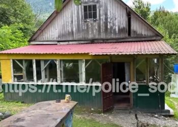 Сочинский пасечник вырастил наркоплантацию из 360 кустов