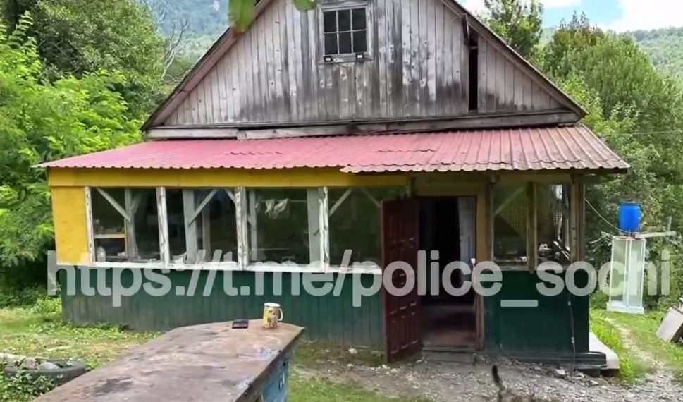 Сочинский пасечник вырастил наркоплантацию из 360 кустов