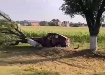 На Кубани 75-летний водитель Opel врезался в дерево и погиб