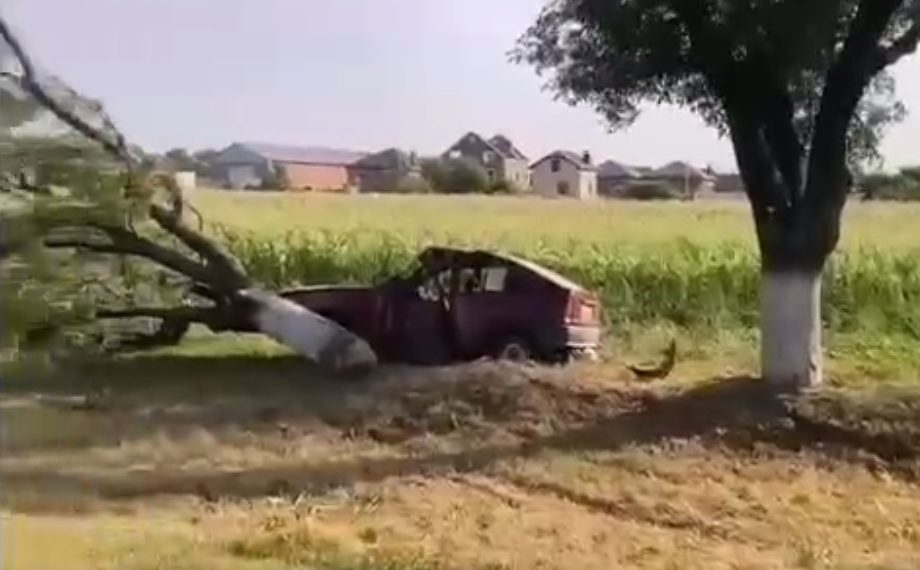 На Кубани 75-летний водитель Opel врезался в дерево и погиб